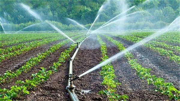 افتتاح ۲۵ طرح آبیاری تحت فشاردرچالدران